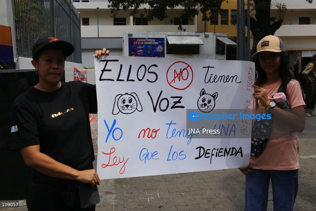 CARACAS, VENEZUELA, OCTOBER 24, 2026: Animal rights activists demonstrate in Caracas, calling for stronger legislation against animal abuse and justice for animals harmed or killed across Venezuela. Participants demand tougher penalties for offenders and greater action by authorities to investigate complaints and protect animals. (Photo by Moisés Quintero/JNA Press via Nexpher Images)