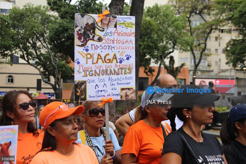 CARACAS, VENEZUELA, OCTOBER 24, 2026: Animal rights activists demonstrate in Caracas, calling for stronger legislation against animal abuse and justice for animals harmed or killed across Venezuela. Participants demand tougher penalties for offenders and greater action by authorities to investigate complaints and protect animals. (Photo by Moisés Quintero/JNA Press via Nexpher Images)