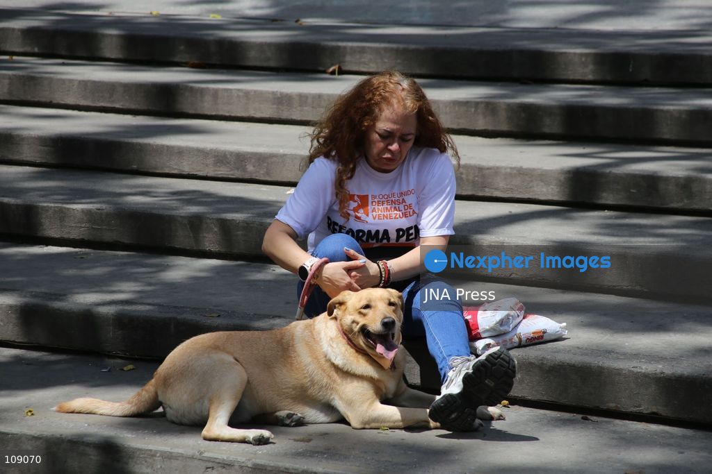CARACAS, VENEZUELA, OCTOBER 24, 2026: Animal rights activists demonstrate in Caracas, calling for stronger legislation against animal abuse and justice for animals harmed or killed across Venezuela. Participants demand tougher penalties for offenders and greater action by authorities to investigate complaints and protect animals. (Photo by Moisés Quintero/JNA Press via Nexpher Images)