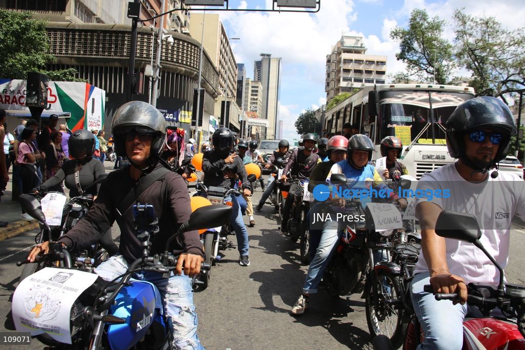 CARACAS, VENEZUELA, OCTOBER 24, 2026: Animal rights activists demonstrate in Caracas, calling for stronger legislation against animal abuse and justice for animals harmed or killed across Venezuela. Participants demand tougher penalties for offenders and greater action by authorities to investigate complaints and protect animals. (Photo by Moisés Quintero/JNA Press via Nexpher Images)