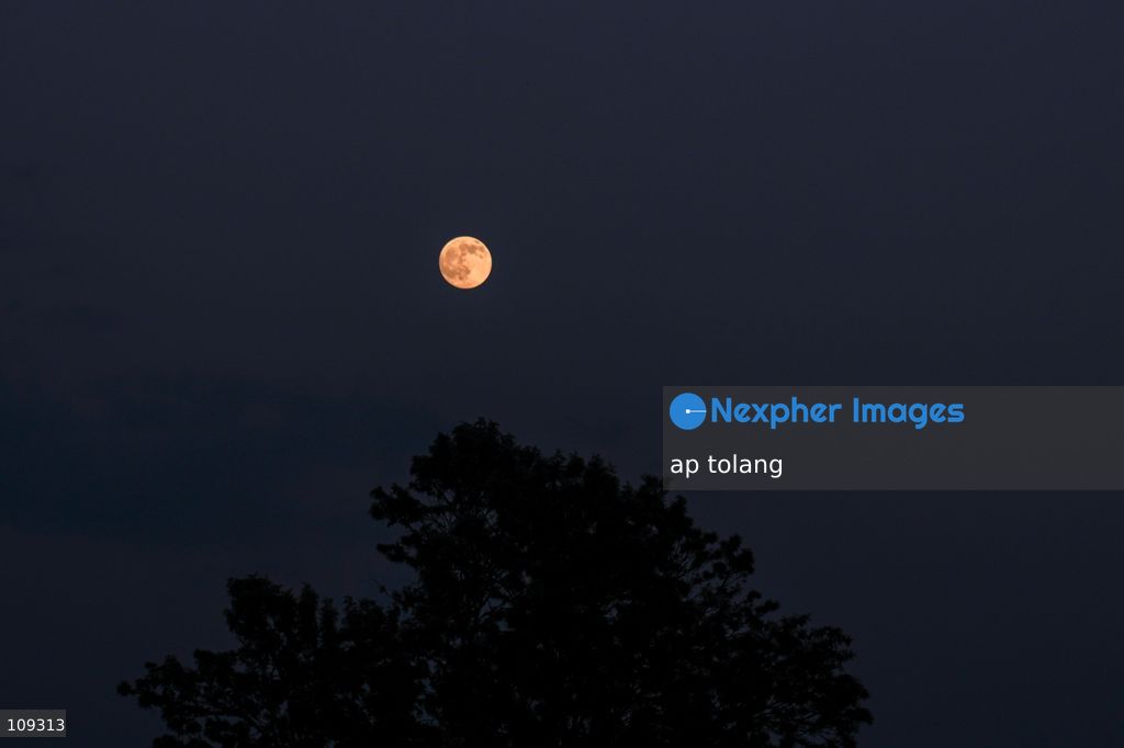 KATHMANDU, NEPAL – October 25, 2026: The nearly full moon is seen in the night sky over Kathmandu, Nepal. ahead of the full moon on October 26. The bright moon illuminates the night sky, offering a striking celestial view over the Nepalese capital. (Photo by ap tolang/Nexpher Images)