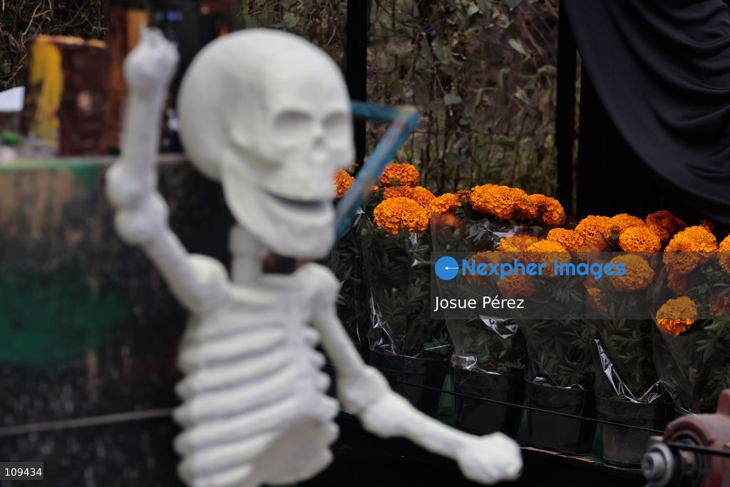 Pieces of the parade float for the Day of the Dead parade are being placed in various locations to keep them organized, on October 24, 2026, in Mexico City, Mexico. At the Arts and Trades Factory of the East (FARO de Oriente), located in the Iztapalapa district, one of the floats for the Day of the Dead parade is being constructed. Titled "Panadero con el pan" ("Baker with the Bread"), the float is being built by artisans who specialize in alebrijes (fantastical creatures) and cartonería (traditional papier-mache/cardboard craft). They are crafting skulls, calaveras (stylized skeletal figures), and pan de muerto (traditional Day of the Dead bread) to assemble the float, which will also feature cempasúchil (marigold) flowers. (Photo by Josue Pérez/Nexpher Images)