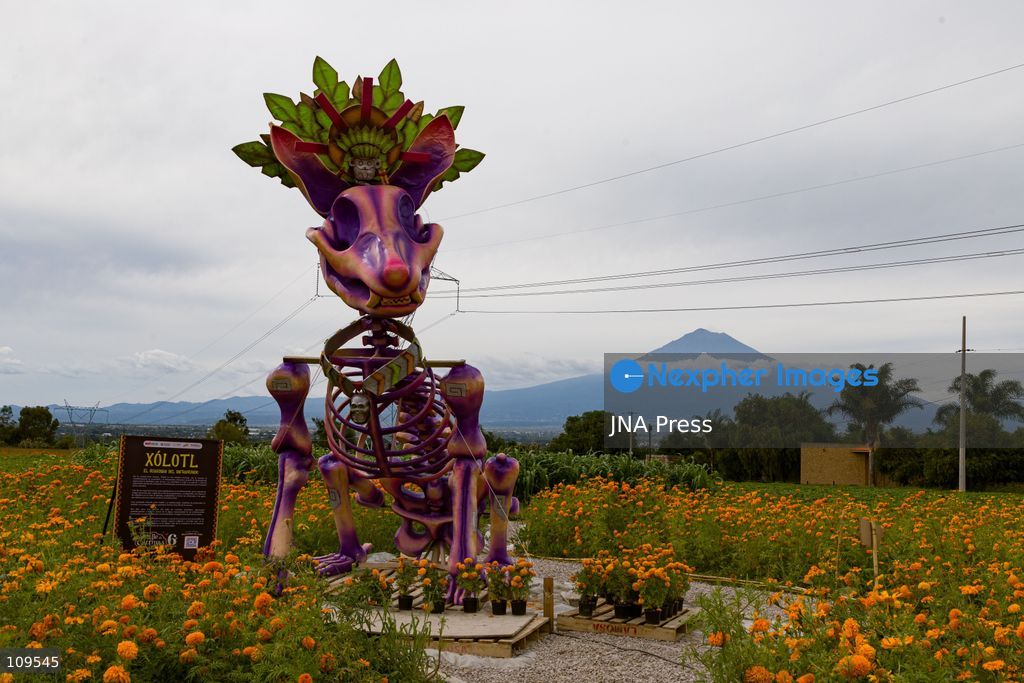 ATLIXCO DE MÚGICA Y OSORIO, PUEBLA, MEXICO – OCTOBER 25, 2026: A monumental Catrina, a large-scale skeletal figure, is displayed in Atlixco during the sixth edition of the "Valley of the Catrinas" (Valle de las Catrinas) festival. These figures represent deities and characters from the pre-Hispanic worldview of Mexico’s indigenous cultures. (Photo by Juan Perez Puente/JNA Press via Nexpher Images)