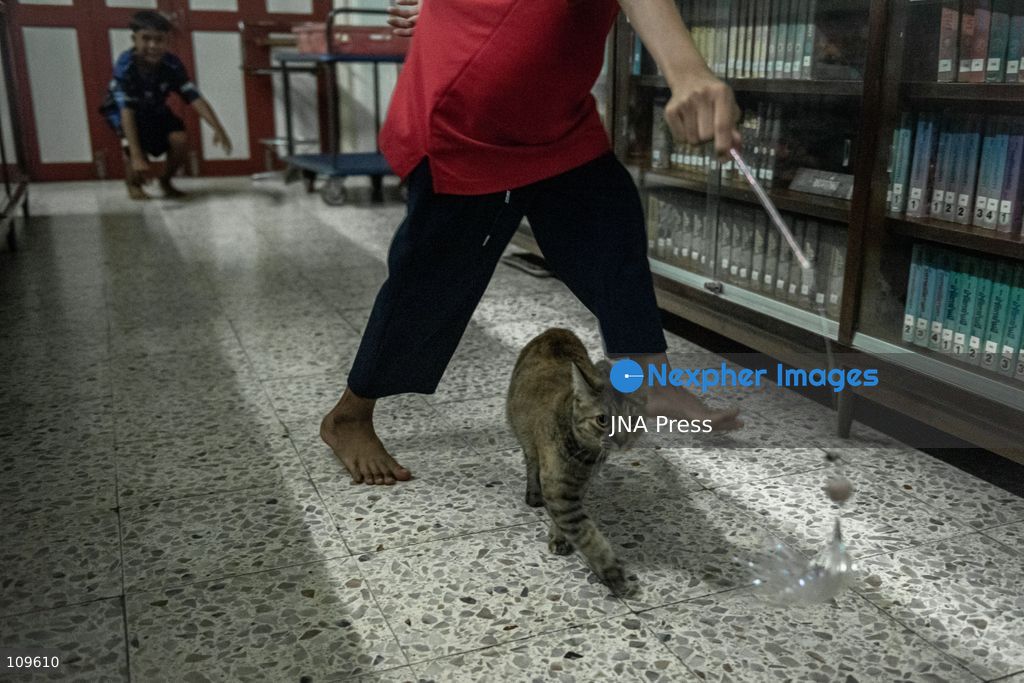 BANGKOK, THAILAND, OCTOBER 26, 2026: Visitors read and spend time with cats at Mongkolsiri Library inside Wat Paknam Phasi Charoen in Bangkok. Monks and members of the temple community care for the cats, including former strays that have found shelter on the grounds. (Photo by Ekkasit chimpinit/JNA Press via Nexpher Images)