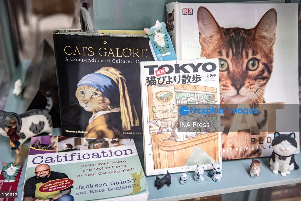BANGKOK, THAILAND, OCTOBER 26, 2026: Visitors read and spend time with cats at Mongkolsiri Library inside Wat Paknam Phasi Charoen in Bangkok. Monks and members of the temple community care for the cats, including former strays that have found shelter on the grounds. (Photo by Ekkasit chimpinit/JNA Press via Nexpher Images)