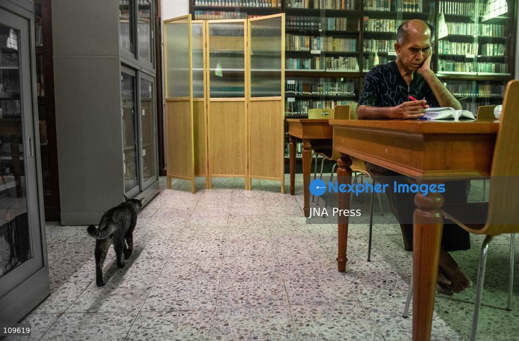 BANGKOK, THAILAND, OCTOBER 26, 2026: Visitors read and spend time with cats at Mongkolsiri Library inside Wat Paknam Phasi Charoen in Bangkok. Monks and members of the temple community care for the cats, including former strays that have found shelter on the grounds. (Photo by Ekkasit chimpinit/JNA Press via Nexpher Images)