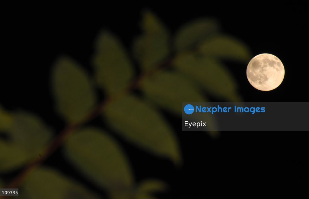 The Hunter's Moon rises over Srinagar. In the Northern Hemisphere, the October full moon is traditionally known as the Hunter's Moon, a name associated with the end of the harvest season and preparations for winter. on October 25, 2026 in Srinagar, India. (Photo by Danish Showkat/ Eyepix Group/Eyepix via Nexpher Images)
