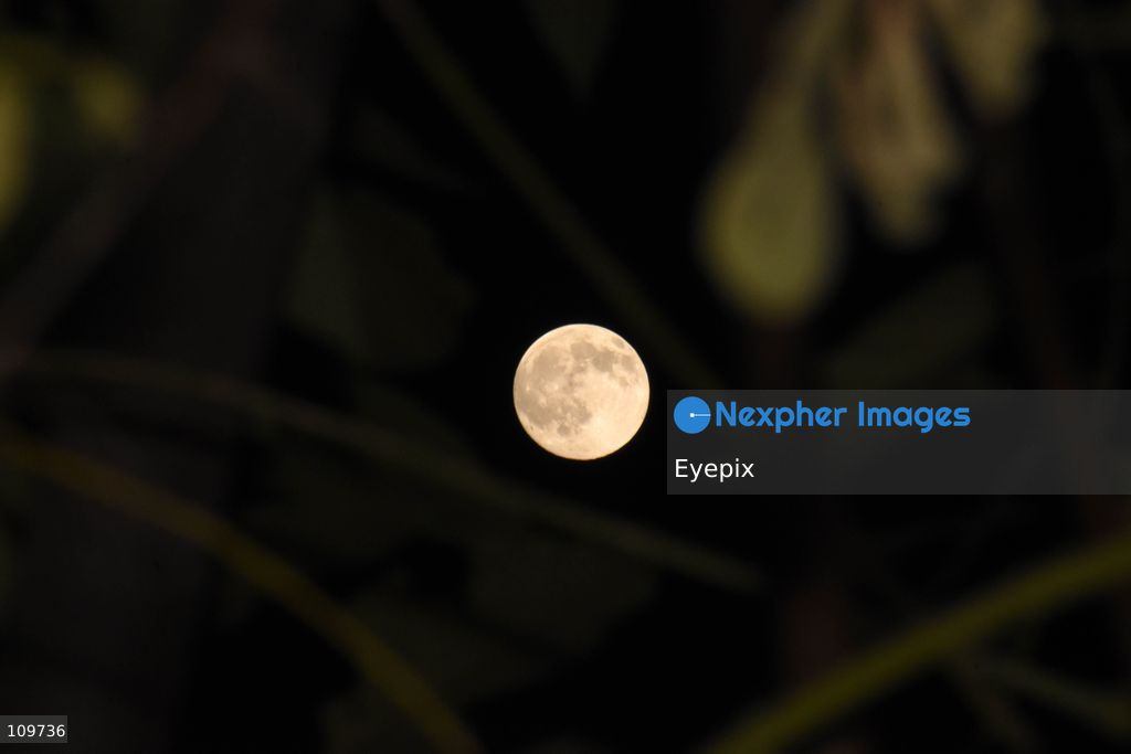 The Hunter's Moon rises over Srinagar. In the Northern Hemisphere, the October full moon is traditionally known as the Hunter's Moon, a name associated with the end of the harvest season and preparations for winter. on October 25, 2026 in Srinagar, India. (Photo by Danish Showkat/ Eyepix Group/Eyepix via Nexpher Images)