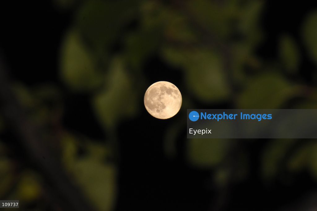 The Hunter's Moon rises over Srinagar. In the Northern Hemisphere, the October full moon is traditionally known as the Hunter's Moon, a name associated with the end of the harvest season and preparations for winter. on October 25, 2026 in Srinagar, India. (Photo by Danish Showkat/ Eyepix Group/Eyepix via Nexpher Images)