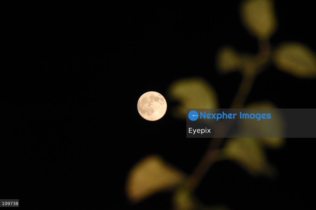 The Hunter's Moon rises over Srinagar. In the Northern Hemisphere, the October full moon is traditionally known as the Hunter's Moon, a name associated with the end of the harvest season and preparations for winter. on October 25, 2026 in Srinagar, India. (Photo by Danish Showkat/ Eyepix Group/Eyepix via Nexpher Images)