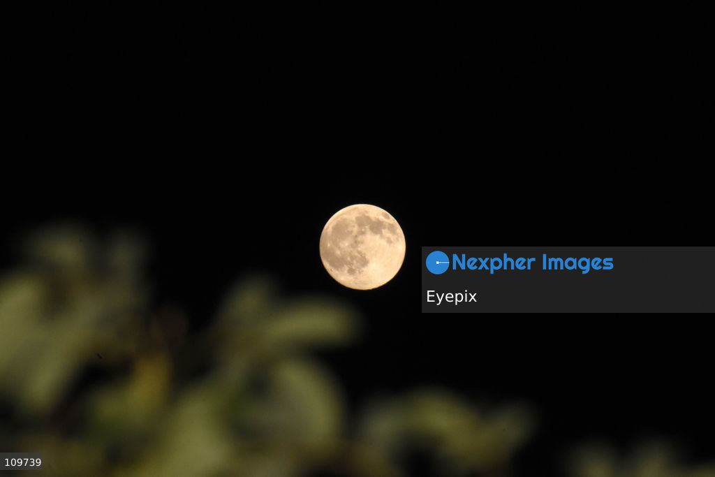 The Hunter's Moon rises over Srinagar. In the Northern Hemisphere, the October full moon is traditionally known as the Hunter's Moon, a name associated with the end of the harvest season and preparations for winter. on October 25, 2026 in Srinagar, India. (Photo by Danish Showkat/ Eyepix Group/Eyepix via Nexpher Images)