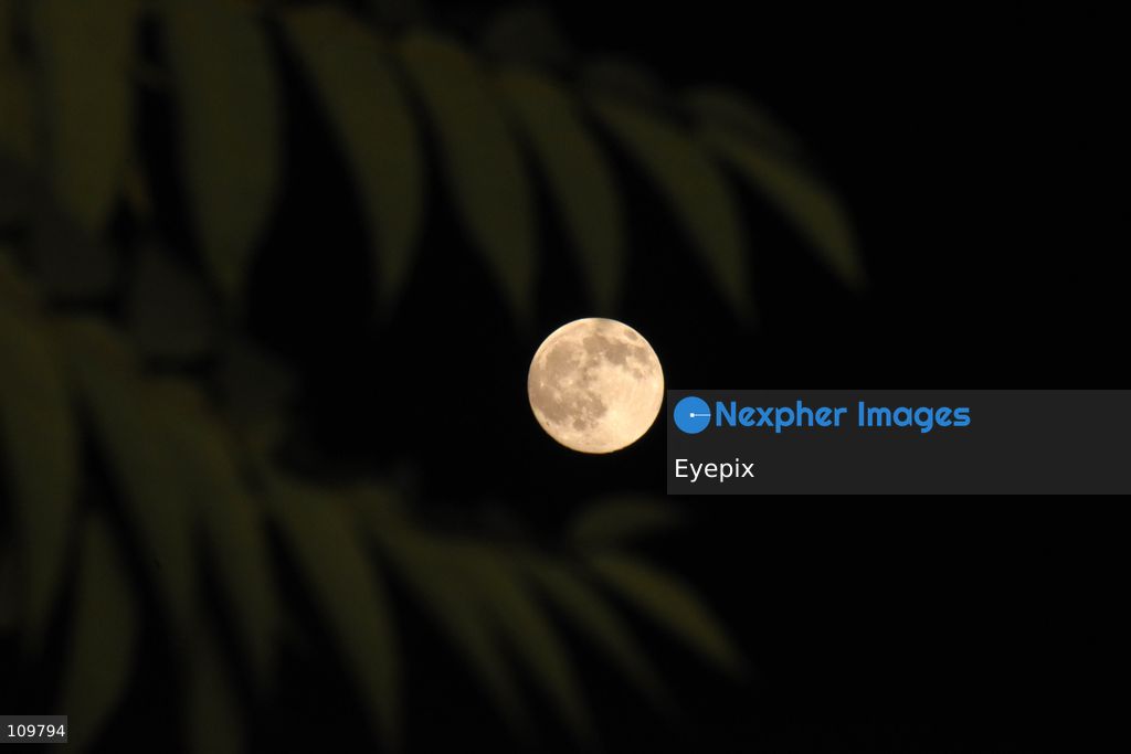 TOP PICS - The Hunter's Moon rises over Srinagar. In the Northern Hemisphere, the October full moon is traditionally known as the Hunter's Moon, a name associated with the end of the harvest season and preparations for winter. on October 25, 2026 in Srinagar, India. (Photo by Danish Showkat/ Eyepix Group/Eyepix via Nexpher Images)