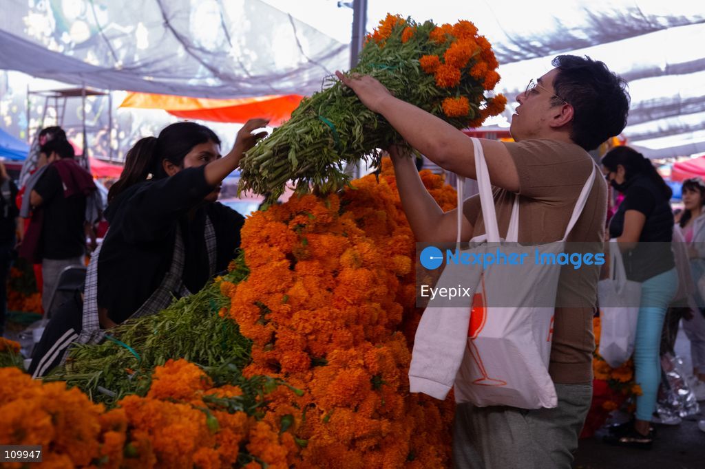 A costumer carries a large bundle of marigold flowers (known as cempasuchil) preparing for the upcoming Day of the Dead (Dia de Muertos) celebrations at the Jamaica Market on October 26, 2026 in Mexico City, Mexico. The traditional market experiences a massive influx of shoppers sourcing flowers, incense, sugar skulls, and altar decorations to honor their deceased loved ones ahead of the annual holiday celebrated on November 1 and 2. (Photo by Marko Gonzalez/ Eyepix Group/Eyepix via Nexpher Images)