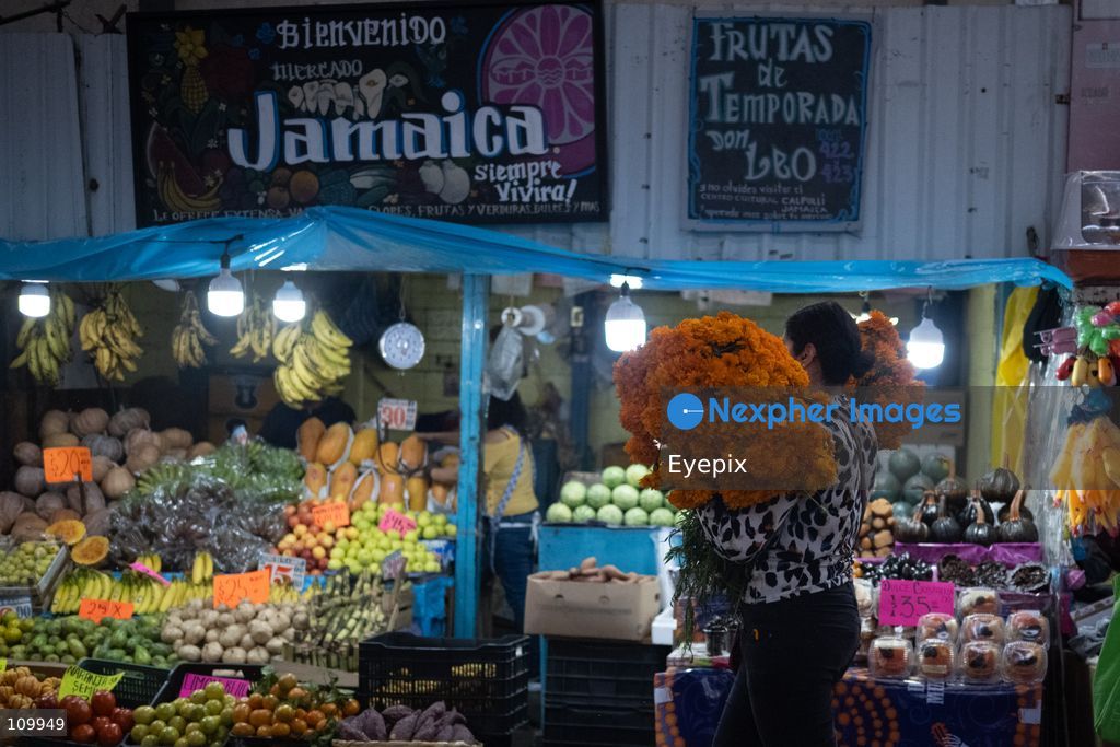 A costumer carries a large bundle of marigold flowers (known as cempasuchil) preparing for the upcoming Day of the Dead (Dia de Muertos) celebrations at the Jamaica Market on October 26, 2026 in Mexico City, Mexico. The traditional market experiences a massive influx of shoppers sourcing flowers, incense, sugar skulls, and altar decorations to honor their deceased loved ones ahead of the annual holiday celebrated on November 1 and 2. (Photo by Marko Gonzalez/ Eyepix Group/Eyepix via Nexpher Images)