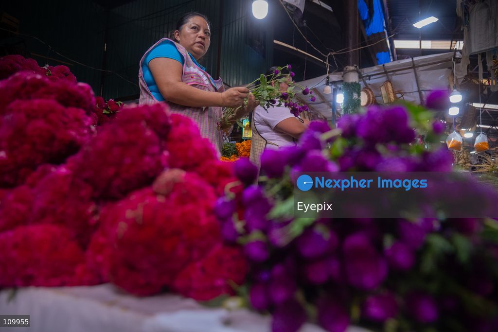A vendor offers day of the dead flowers to customers preparing for the upcoming Day of the Dead (Dia de Muertos) celebrations at the Jamaica Marke on October 26, 2026 in Mexico City, Mexico. The traditional market experiences a massive influx of shoppers sourcing flowers, incense, sugar skulls, and altar decorations to honor their deceased loved ones ahead of the annual holiday celebrated on November 1 and 2. (Photo by Marko Gonzalez/ Eyepix Group/Eyepix via Nexpher Images)