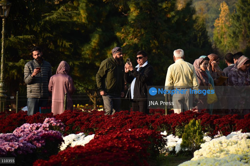 SRINAGAR, INDIA, OCTOBER 29, 2026: Visitors explore Bagh-e-Gul-e-Dawood, a chrysanthemum garden at the Nehru Memorial Botanical Garden in Srinagar, Jammu and Kashmir. The seasonal display features around 350,000 chrysanthemum plants across more than 70 varieties, forming part of efforts to extend Kashmir’s floral tourism season into autumn and early winter. (Photo by Danish Showkat/JNA Press via Nexpher Images)