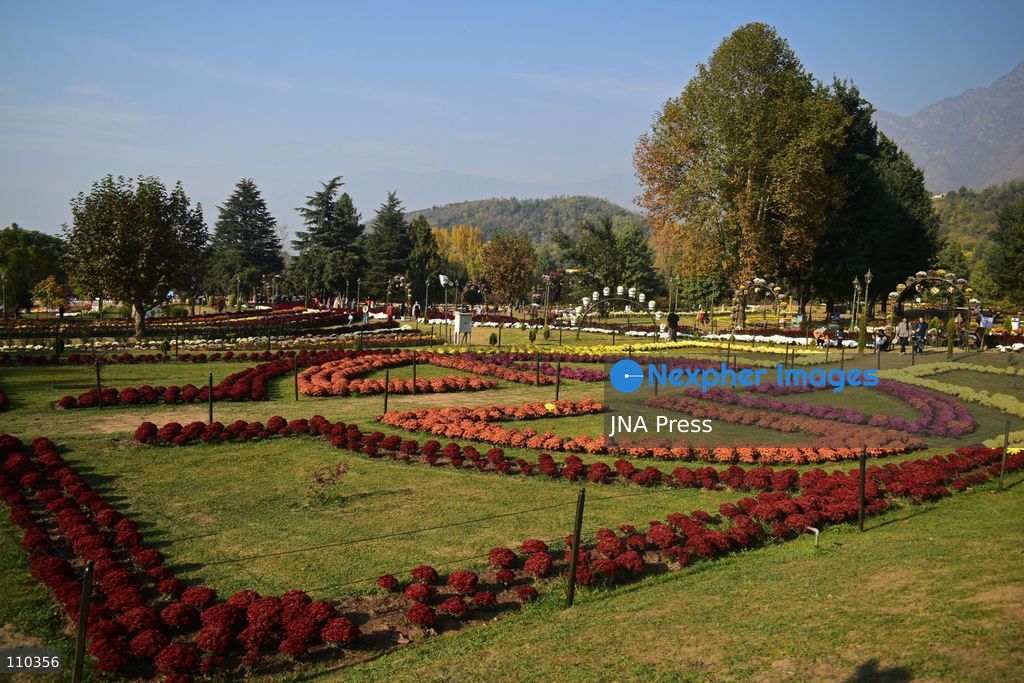 SRINAGAR, INDIA, OCTOBER 29, 2026: Visitors explore Bagh-e-Gul-e-Dawood, a chrysanthemum garden at the Nehru Memorial Botanical Garden in Srinagar, Jammu and Kashmir. The seasonal display features around 350,000 chrysanthemum plants across more than 70 varieties, forming part of efforts to extend Kashmir’s floral tourism season into autumn and early winter. (Photo by Danish Showkat/JNA Press via Nexpher Images)