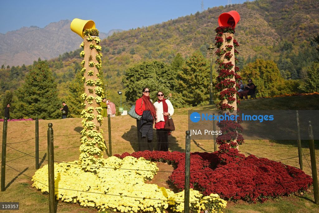 SRINAGAR, INDIA, OCTOBER 29, 2026: Visitors explore Bagh-e-Gul-e-Dawood, a chrysanthemum garden at the Nehru Memorial Botanical Garden in Srinagar, Jammu and Kashmir. The seasonal display features around 350,000 chrysanthemum plants across more than 70 varieties, forming part of efforts to extend Kashmir’s floral tourism season into autumn and early winter. (Photo by Danish Showkat/JNA Press via Nexpher Images)