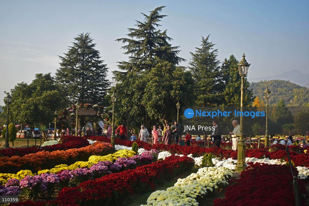 SRINAGAR, INDIA, OCTOBER 29, 2026: Visitors explore Bagh-e-Gul-e-Dawood, a chrysanthemum garden at the Nehru Memorial Botanical Garden in Srinagar, Jammu and Kashmir. The seasonal display features around 350,000 chrysanthemum plants across more than 70 varieties, forming part of efforts to extend Kashmir’s floral tourism season into autumn and early winter. (Photo by Danish Showkat/JNA Press via Nexpher Images)