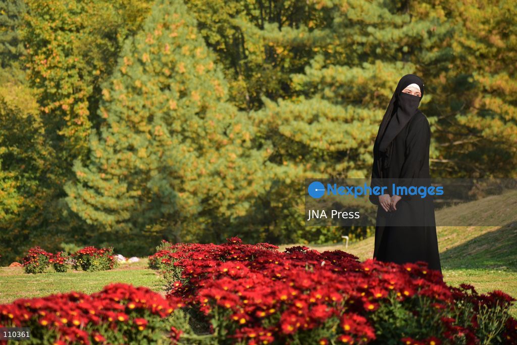 SRINAGAR, INDIA, OCTOBER 29, 2026: Visitors explore Bagh-e-Gul-e-Dawood, a chrysanthemum garden at the Nehru Memorial Botanical Garden in Srinagar, Jammu and Kashmir. The seasonal display features around 350,000 chrysanthemum plants across more than 70 varieties, forming part of efforts to extend Kashmir’s floral tourism season into autumn and early winter. (Photo by Danish Showkat/JNA Press via Nexpher Images)