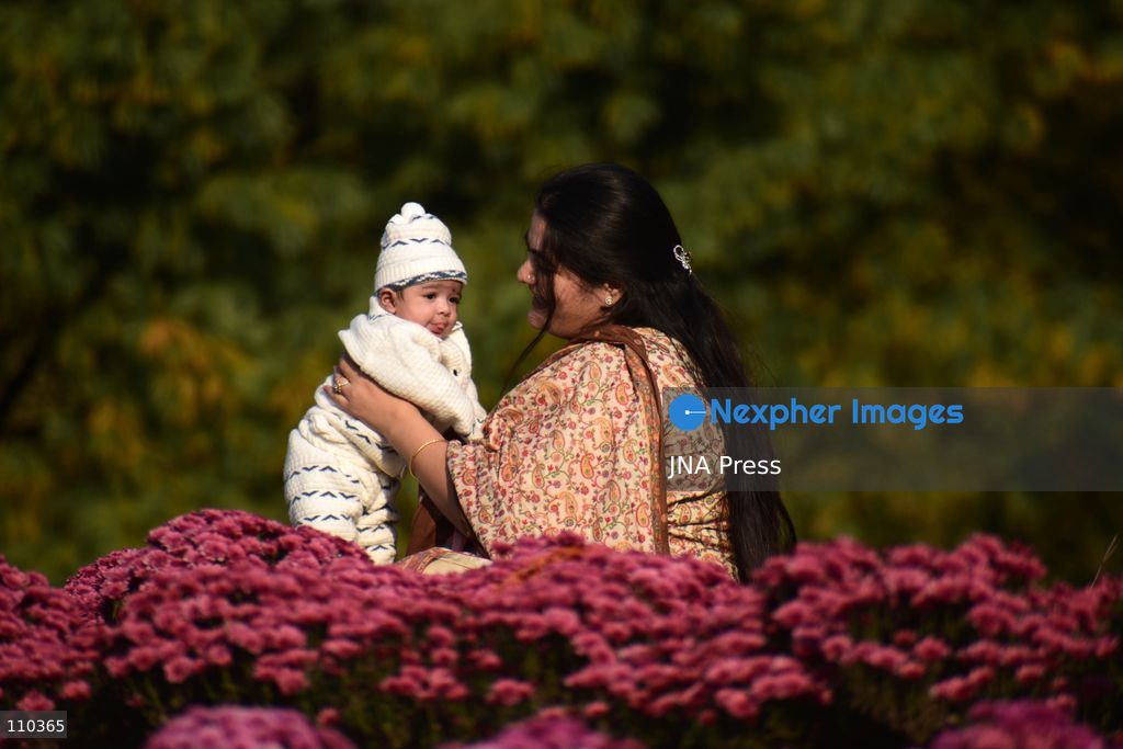 SRINAGAR, INDIA, OCTOBER 29, 2026: Visitors explore Bagh-e-Gul-e-Dawood, a chrysanthemum garden at the Nehru Memorial Botanical Garden in Srinagar, Jammu and Kashmir. The seasonal display features around 350,000 chrysanthemum plants across more than 70 varieties, forming part of efforts to extend Kashmir’s floral tourism season into autumn and early winter. (Photo by Danish Showkat/JNA Press via Nexpher Images)