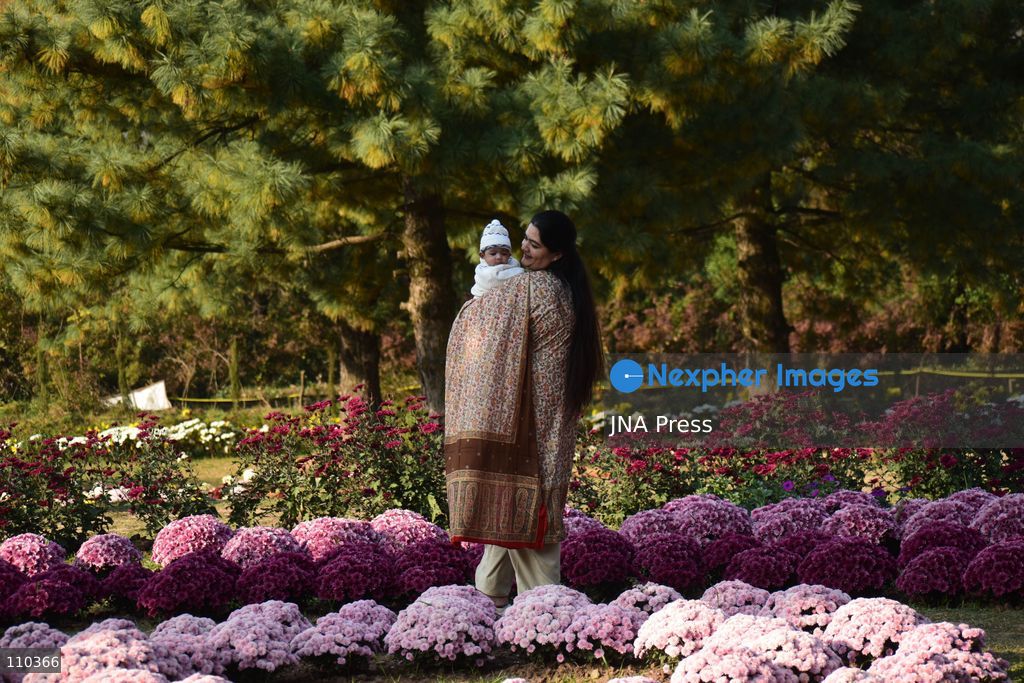 SRINAGAR, INDIA, OCTOBER 29, 2026: Visitors explore Bagh-e-Gul-e-Dawood, a chrysanthemum garden at the Nehru Memorial Botanical Garden in Srinagar, Jammu and Kashmir. The seasonal display features around 350,000 chrysanthemum plants across more than 70 varieties, forming part of efforts to extend Kashmir’s floral tourism season into autumn and early winter. (Photo by Danish Showkat/JNA Press via Nexpher Images)