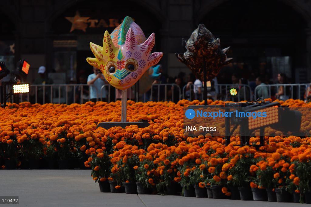 A monumental Catrina stands in Mexico City's Zócalo as the centerpiece of the 2026 Ofrenda Monumental. The roughly 32-meter figure, created by the Xibalbá art workshop, was unveiled as part of the Day of the Dead offering, which organizers said set a Guinness World Record for the tallest Catrina. The installation also features pieces from the exhibition "Ajolotes en el Corazón" and cempasúchil flowers. (Photo by Carlos Santiago/JNA Press via Nexpher Images)