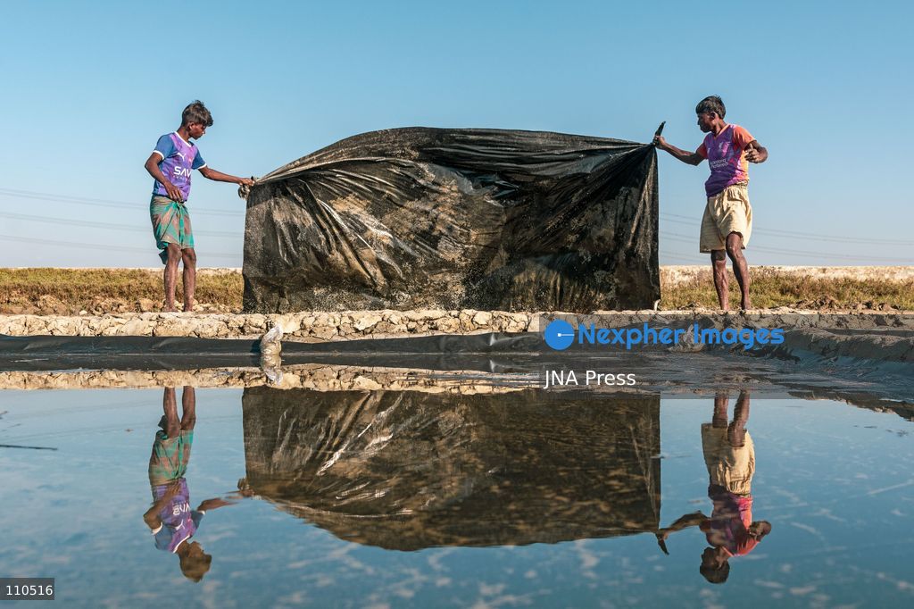 CHATTOGRAM, BANGLADESH - OCTOBER 30, 2026: Workers harvest salt from evaporation ponds lined with black polyethylene sheeting, scooping crystallized salt into mounds and carrying it in woven bamboo baskets. Seawater is held in the ponds and evaporated by sunlight over two to three days before harvesting. (Photo by Sohel Chowdhury/JNA Press via Nexpher Images)