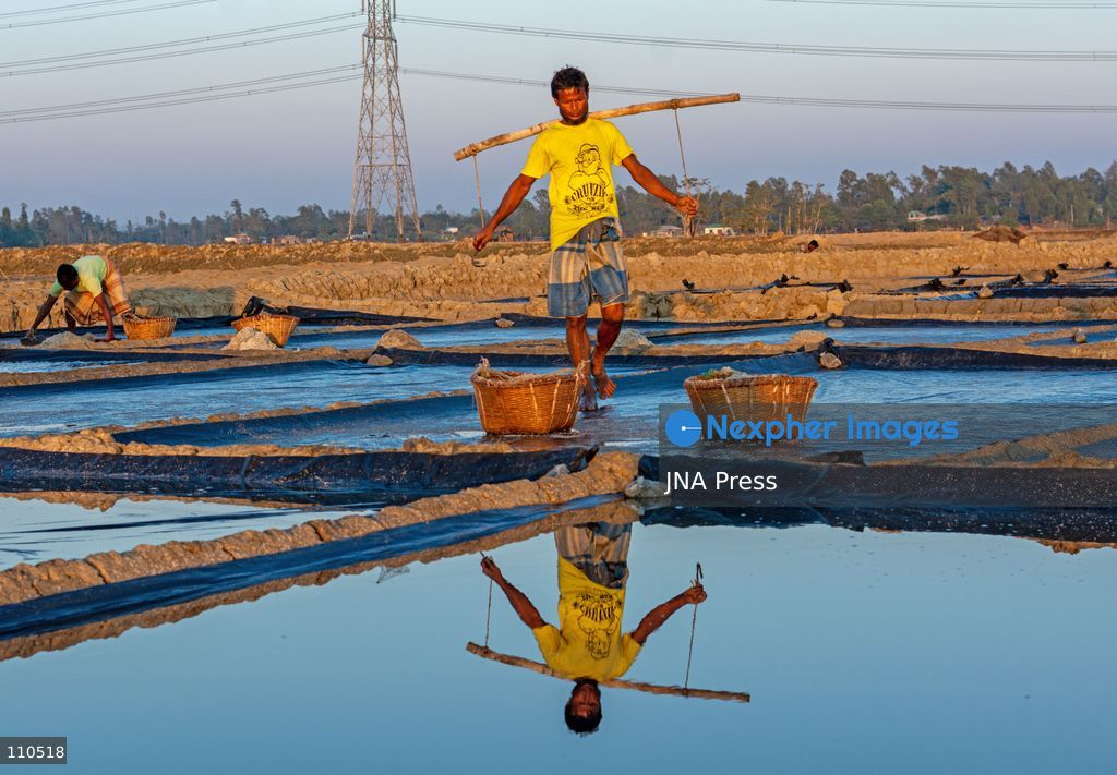 CHATTOGRAM, BANGLADESH - OCTOBER 30, 2026: Workers harvest salt from evaporation ponds lined with black polyethylene sheeting, scooping crystallized salt into mounds and carrying it in woven bamboo baskets. Seawater is held in the ponds and evaporated by sunlight over two to three days before harvesting. (Photo by Sohel Chowdhury/JNA Press via Nexpher Images)