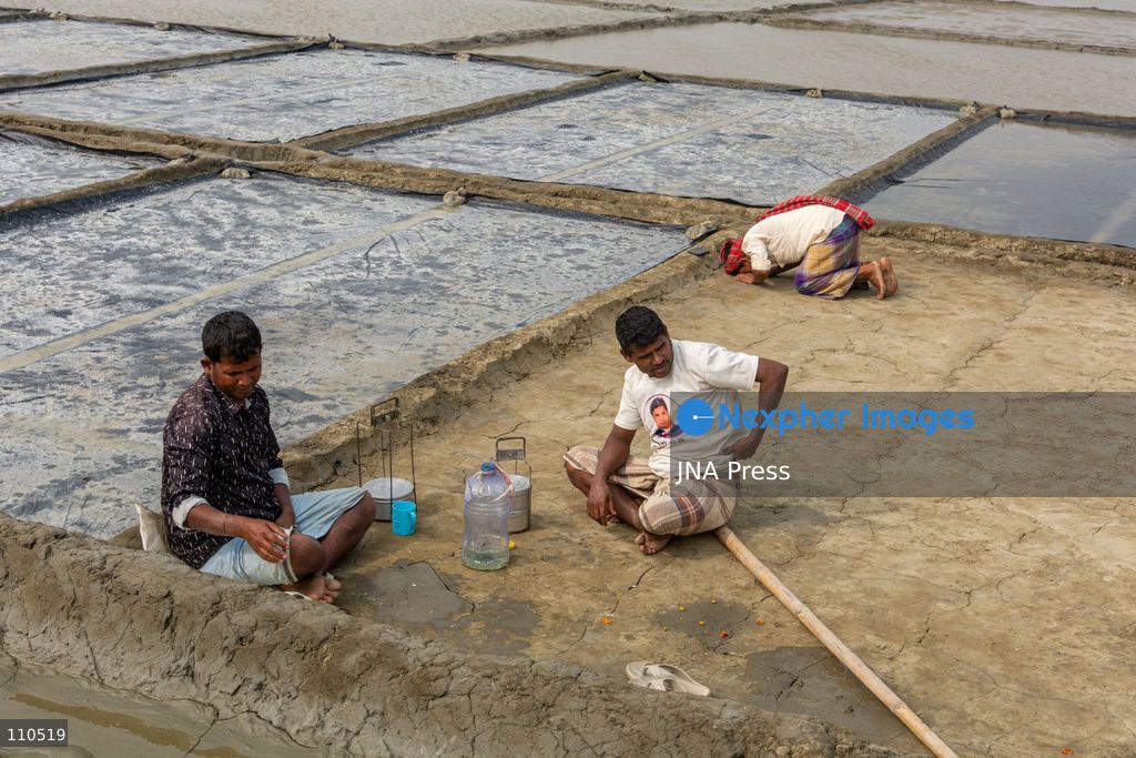 CHATTOGRAM, BANGLADESH - OCTOBER 30, 2026: Workers harvest salt from evaporation ponds lined with black polyethylene sheeting, scooping crystallized salt into mounds and carrying it in woven bamboo baskets. Seawater is held in the ponds and evaporated by sunlight over two to three days before harvesting. (Photo by Sohel Chowdhury/JNA Press via Nexpher Images)