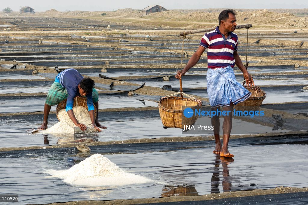 CHATTOGRAM, BANGLADESH - OCTOBER 30, 2026: Workers harvest salt from evaporation ponds lined with black polyethylene sheeting, scooping crystallized salt into mounds and carrying it in woven bamboo baskets. Seawater is held in the ponds and evaporated by sunlight over two to three days before harvesting. (Photo by Sohel Chowdhury/JNA Press via Nexpher Images)
