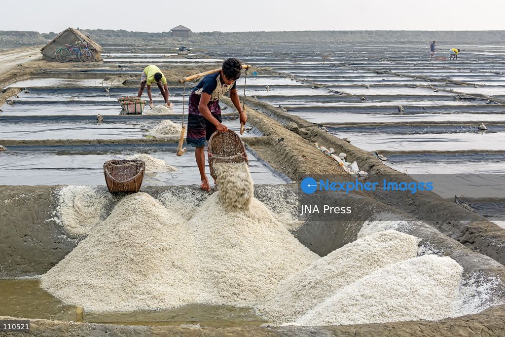 CHATTOGRAM, BANGLADESH - OCTOBER 30, 2026: Workers harvest salt from evaporation ponds lined with black polyethylene sheeting, scooping crystallized salt into mounds and carrying it in woven bamboo baskets. Seawater is held in the ponds and evaporated by sunlight over two to three days before harvesting. (Photo by Sohel Chowdhury/JNA Press via Nexpher Images)