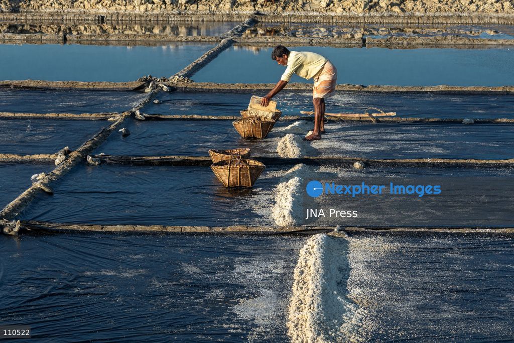 CHATTOGRAM, BANGLADESH - OCTOBER 30, 2026: Workers harvest salt from evaporation ponds lined with black polyethylene sheeting, scooping crystallized salt into mounds and carrying it in woven bamboo baskets. Seawater is held in the ponds and evaporated by sunlight over two to three days before harvesting. (Photo by Sohel Chowdhury/JNA Press via Nexpher Images)