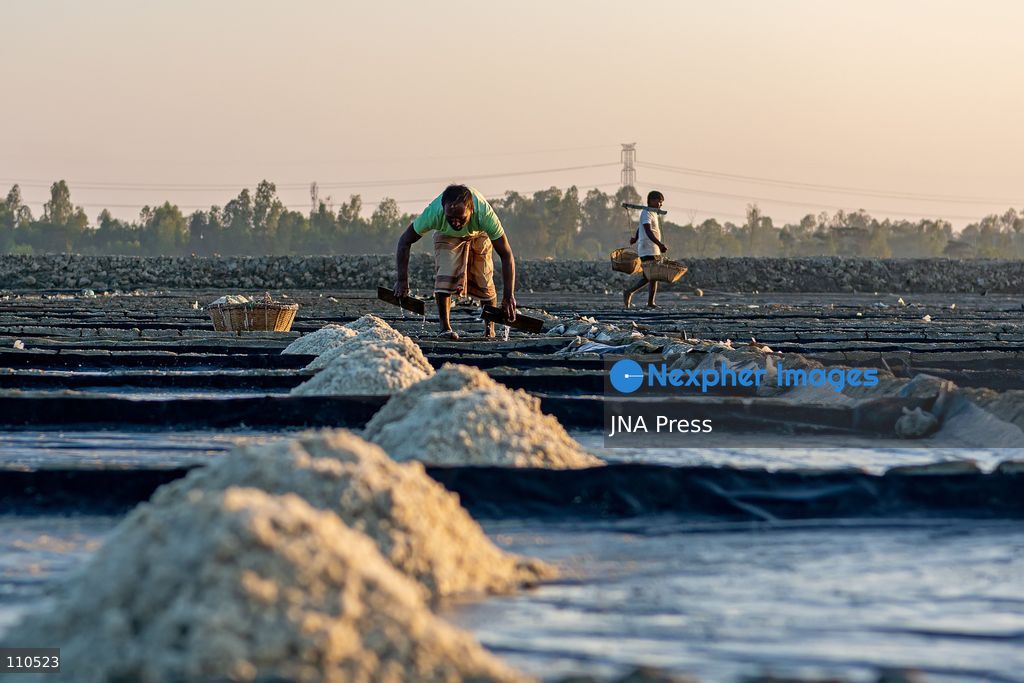 CHATTOGRAM, BANGLADESH - OCTOBER 30, 2026: Workers harvest salt from evaporation ponds lined with black polyethylene sheeting, scooping crystallized salt into mounds and carrying it in woven bamboo baskets. Seawater is held in the ponds and evaporated by sunlight over two to three days before harvesting. (Photo by Sohel Chowdhury/JNA Press via Nexpher Images)
