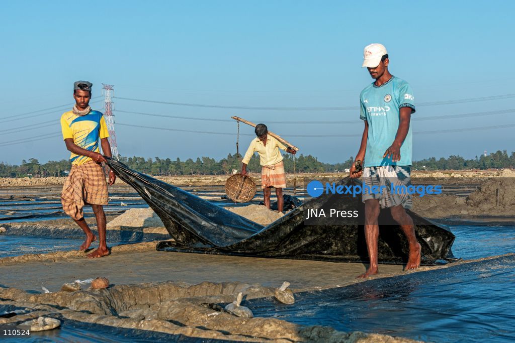 CHATTOGRAM, BANGLADESH - OCTOBER 30, 2026: Workers harvest salt from evaporation ponds lined with black polyethylene sheeting, scooping crystallized salt into mounds and carrying it in woven bamboo baskets. Seawater is held in the ponds and evaporated by sunlight over two to three days before harvesting. (Photo by Sohel Chowdhury/JNA Press via Nexpher Images)
