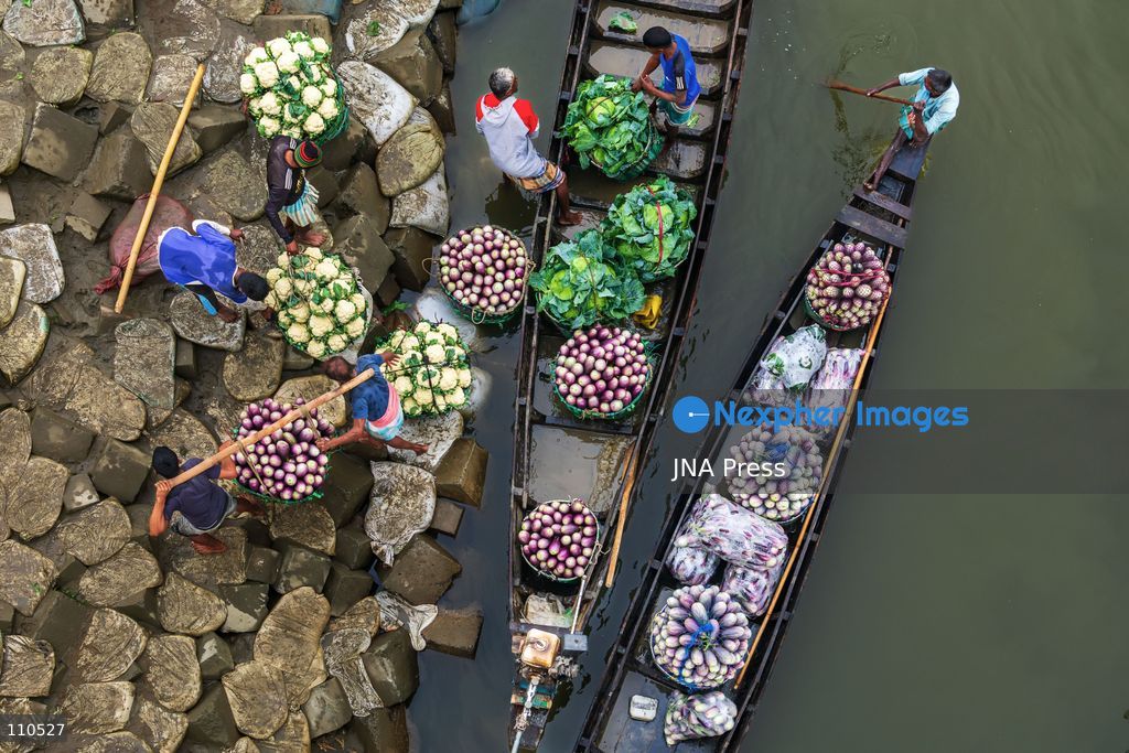 CHATTOGRAM, BANGLADESH - OCTOBER 30, 2026: Workers carry baskets of freshly harvested cauliflower and other vegetables on bamboo poles from a riverside landing area to the wholesale market in Dohazari, Chandanaish, Chattogram. The market sits on the bank of the Sangu River, where farmers bring vegetables by boat from nearby agricultural areas. (Photo by Sohel Chowdhury/JNA Press via Nexpher Images)