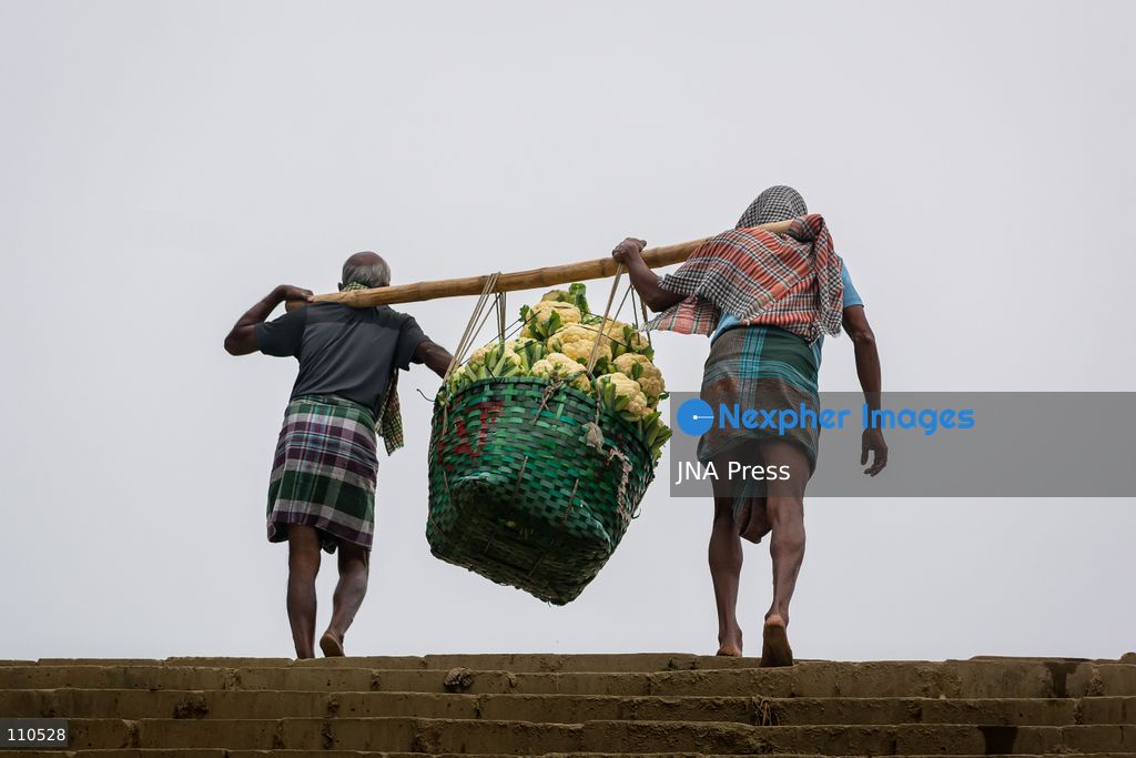 CHATTOGRAM, BANGLADESH - OCTOBER 30, 2026: Workers carry baskets of freshly harvested cauliflower and other vegetables on bamboo poles from a riverside landing area to the wholesale market in Dohazari, Chandanaish, Chattogram. The market sits on the bank of the Sangu River, where farmers bring vegetables by boat from nearby agricultural areas. (Photo by Sohel Chowdhury/JNA Press via Nexpher Images)