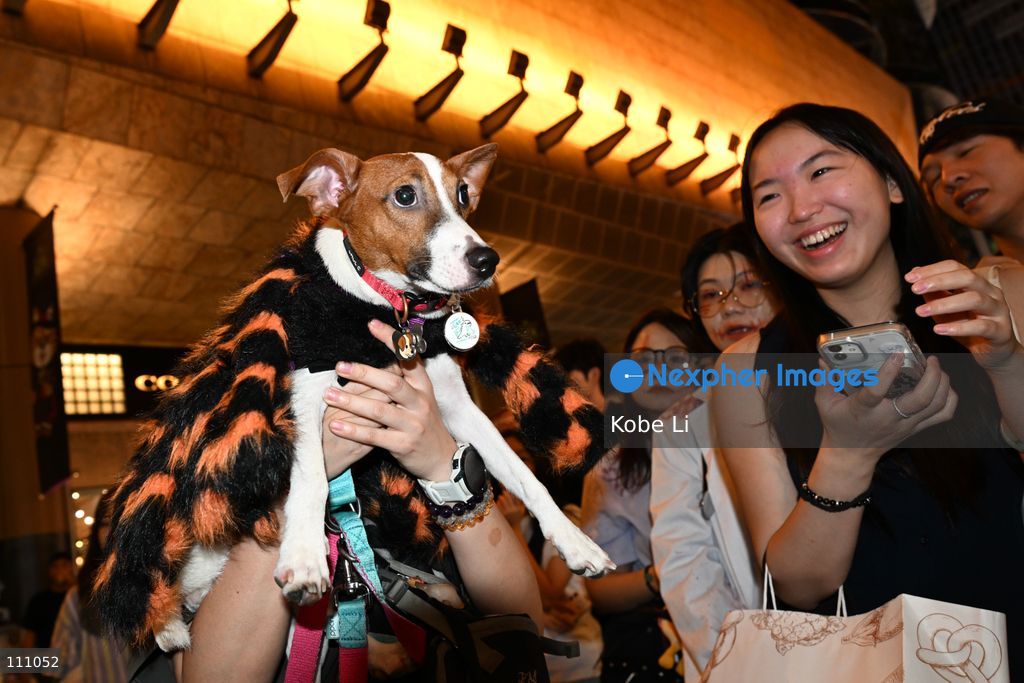 Visitors and a dog cosplaying and posing photo during Halloween day at Mong Kok on October 31, 2026 in Hong Kong. (Photo by Kobe Li/Nexpher Images)