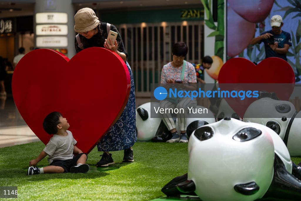 Hong Kong Daily Life
