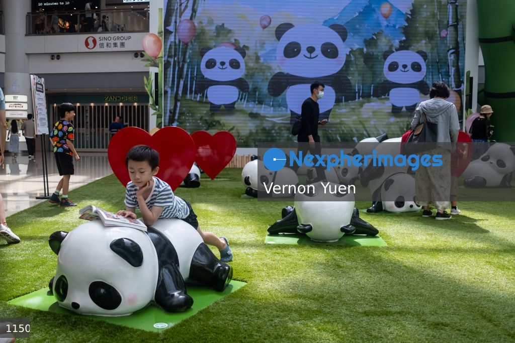 Hong Kong Daily Life