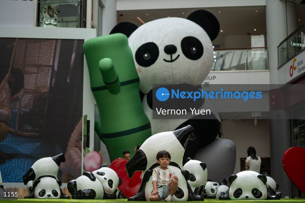 Hong Kong Daily Life