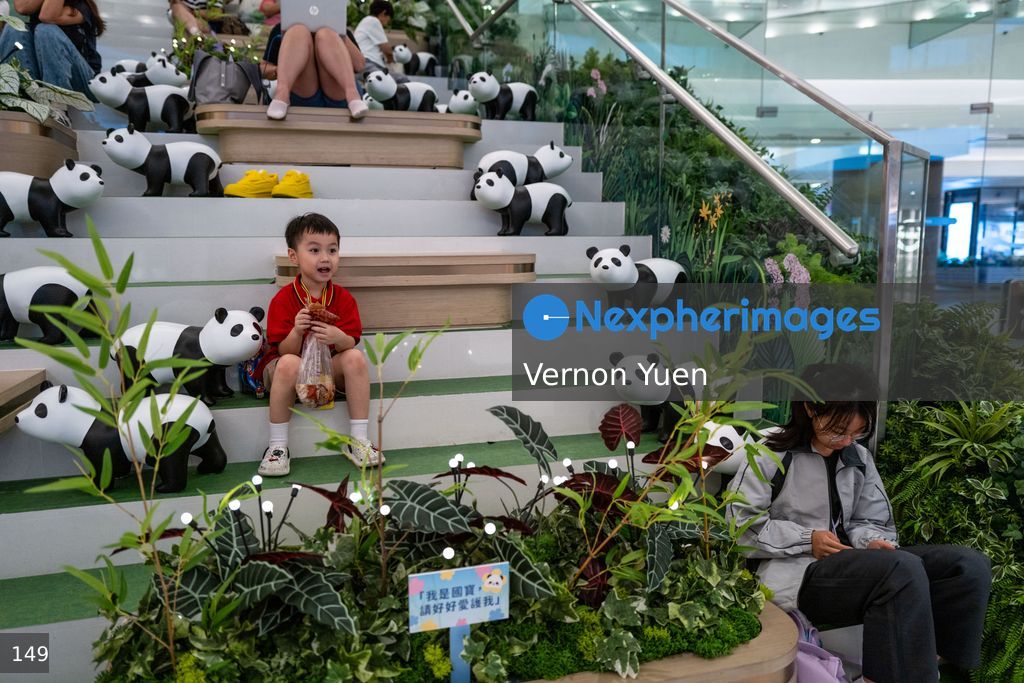 Hong Kong Daily Life
