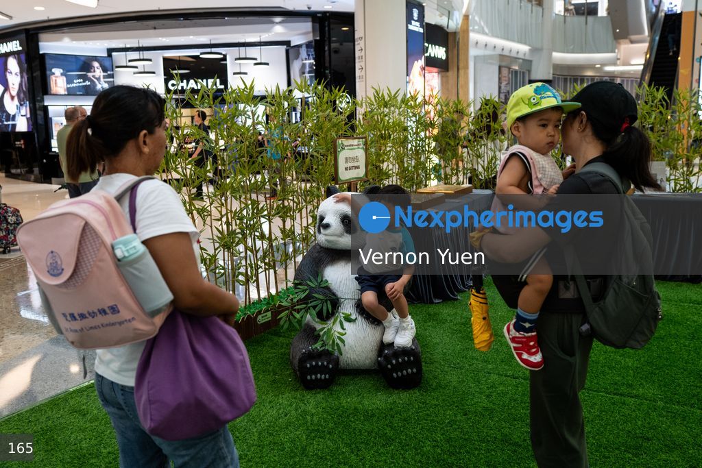 Hong Kong Daily Life
