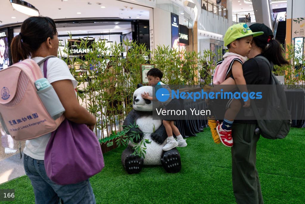 Hong Kong Daily Life