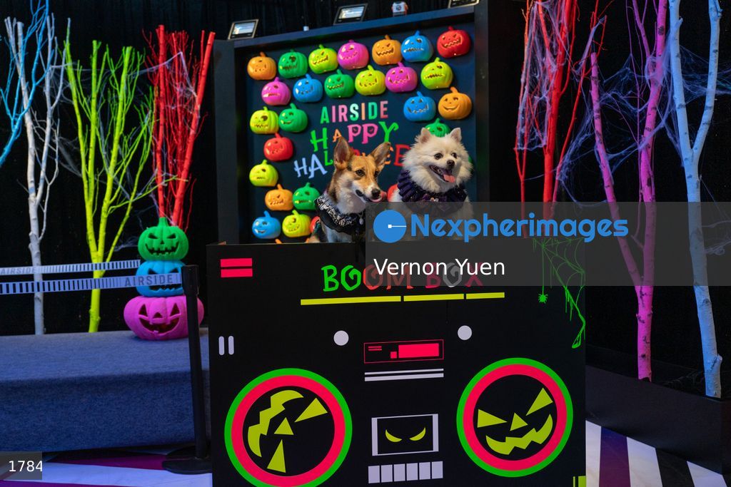 Halloween in Hong Kong