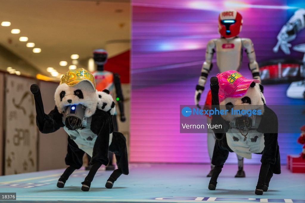 Hong Kong AI Robot Event