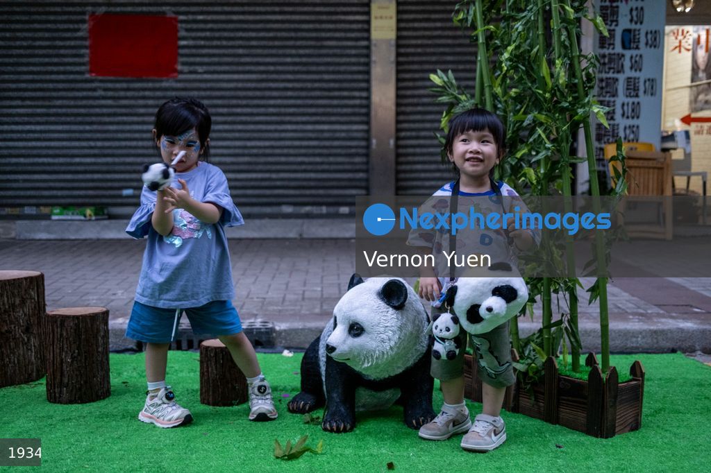 Hong Kong Tai Kok Tsui Temple Fair