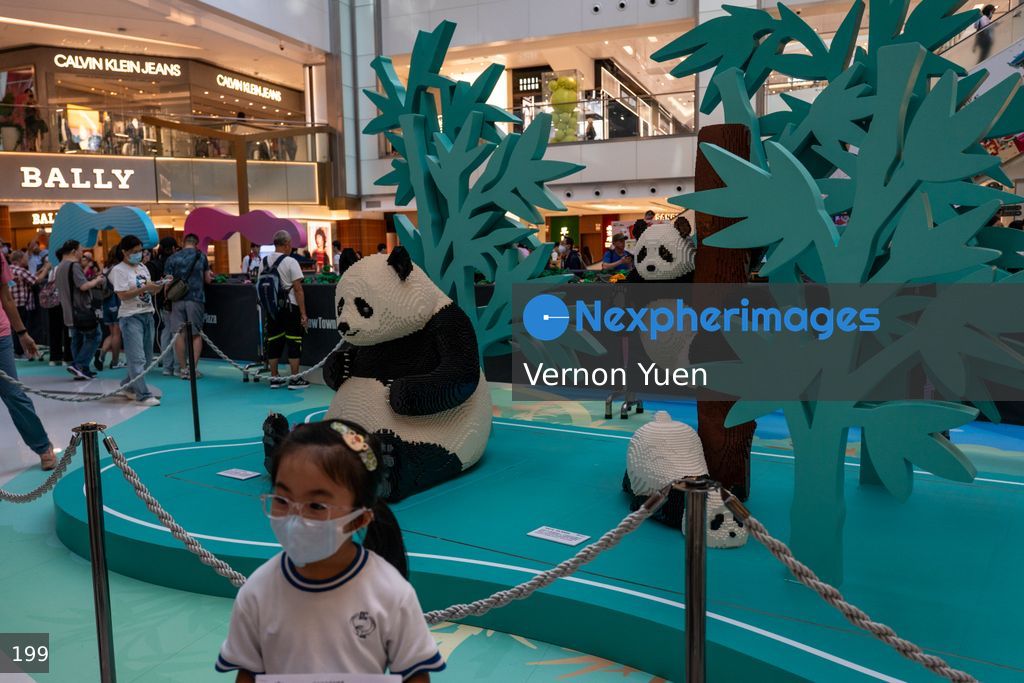Hong Kong Daily Life
