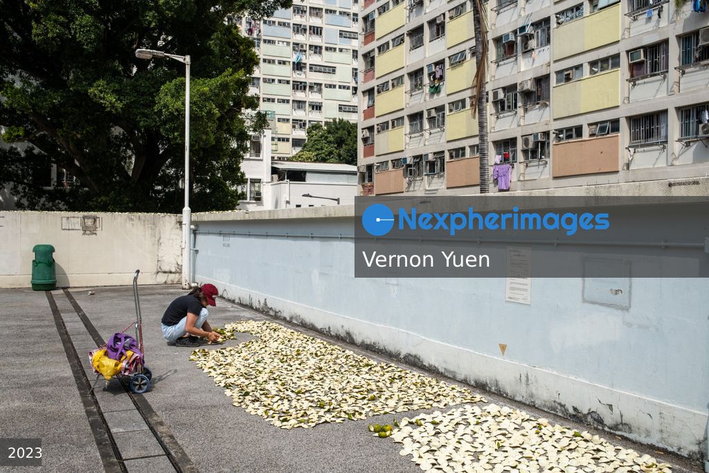 Hong Kong Daily Life