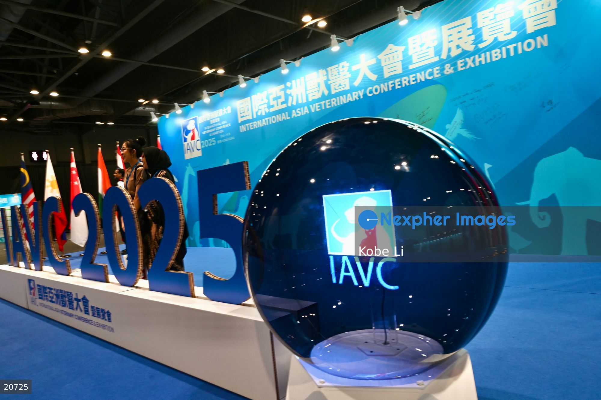 IAVC 2025
